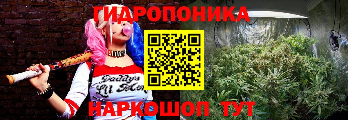 Канабис марихуана Карпинск